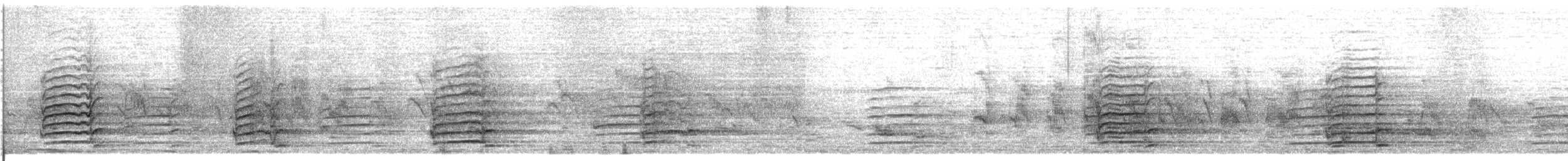 kakadu molucký - ML616197170