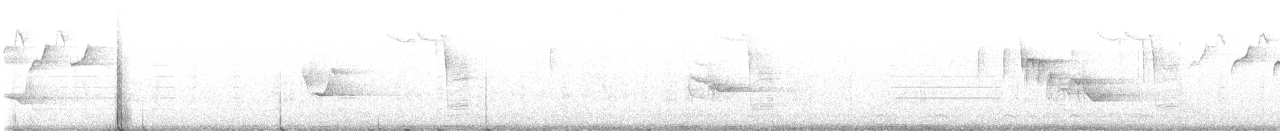 Black-and-white Warbler - ML616198854