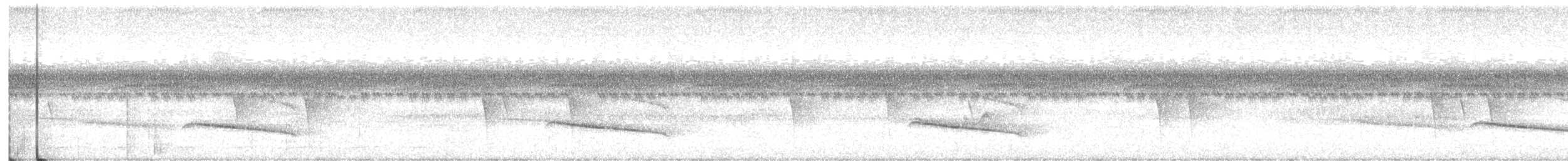 Tufted Antshrike - ML616200293