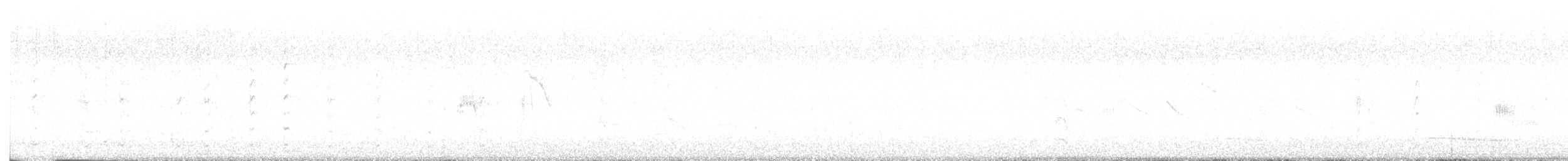 Büyük Kiskadi Tiranı - ML616200316
