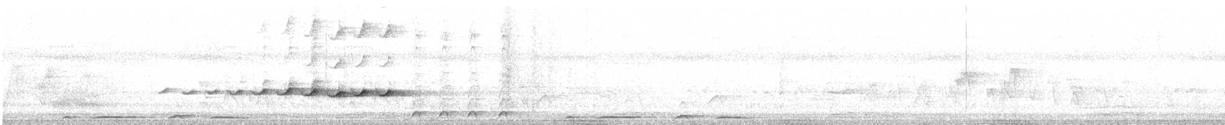 Светлоклювый питуи - ML616200649