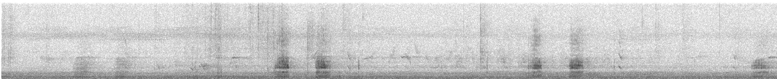 ibis slámokrký - ML616200715
