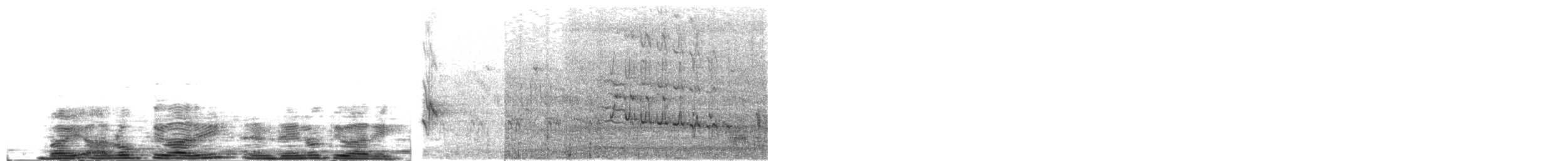 Alción de Esmirna - ML616200855