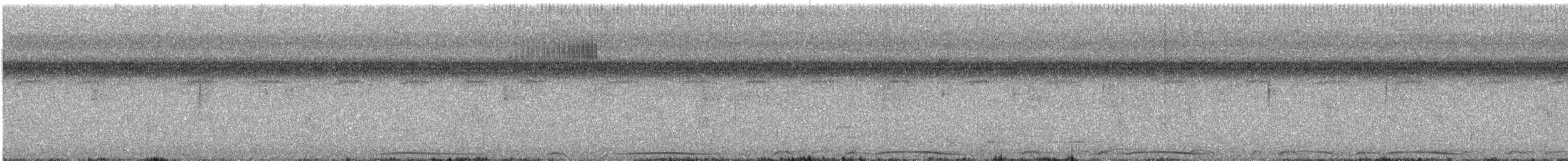 holub neotropický - ML616202667