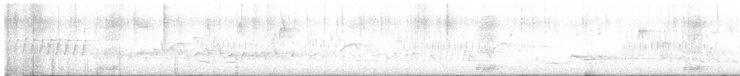 Дрізд-короткодзьоб плямистоволий - ML616202831