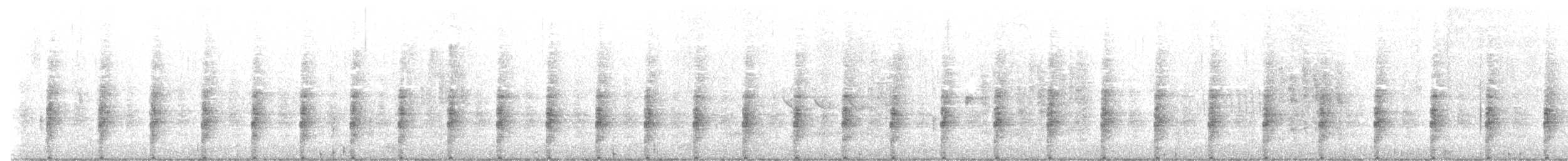 Rascón de Ridgway (yumanensis) - ML616202858