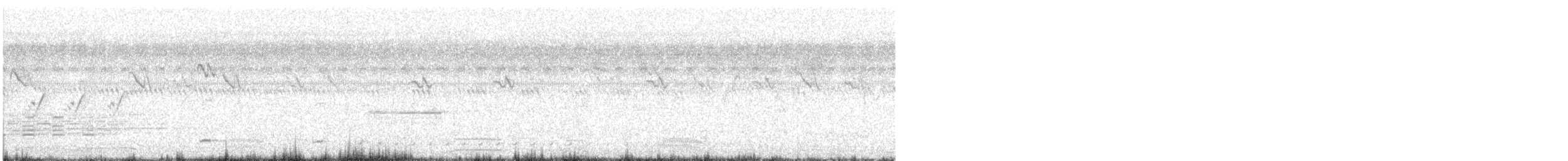 bird sp. - ML616203717