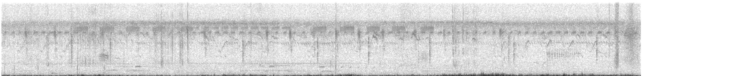 bird sp. - ML616203718