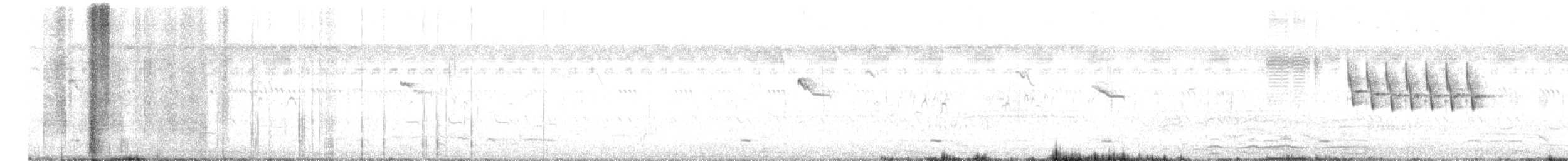 bird sp. - ML616203721