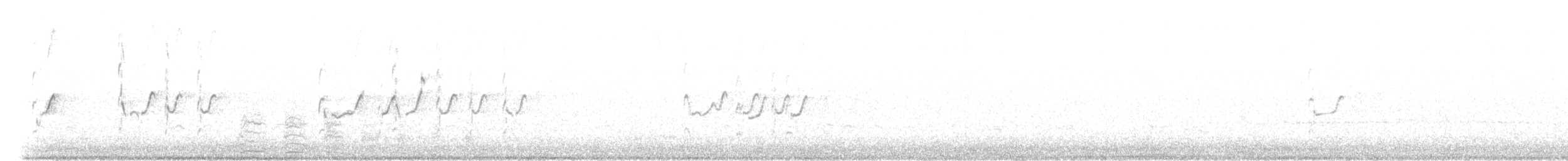 Piro piro culbianco - ML616204750