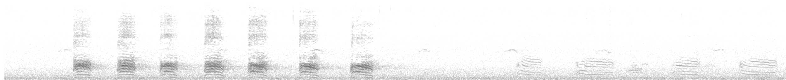 Cornacchia grigia - ML616204763