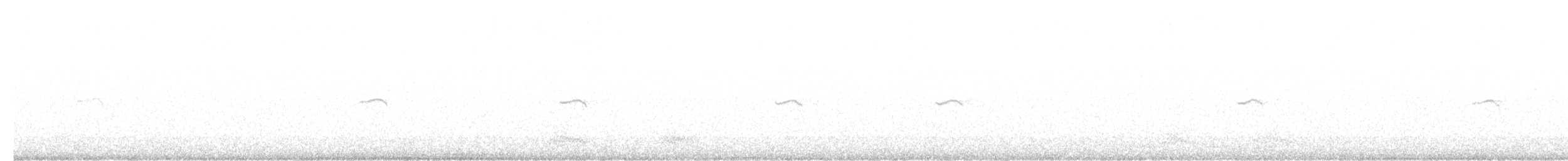 Luì piccolo (tristis) - ML616204772