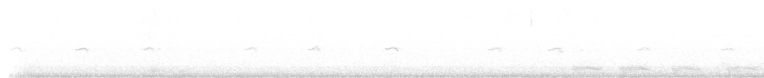 gransanger (tristis) (sibirgransanger) - ML616204782