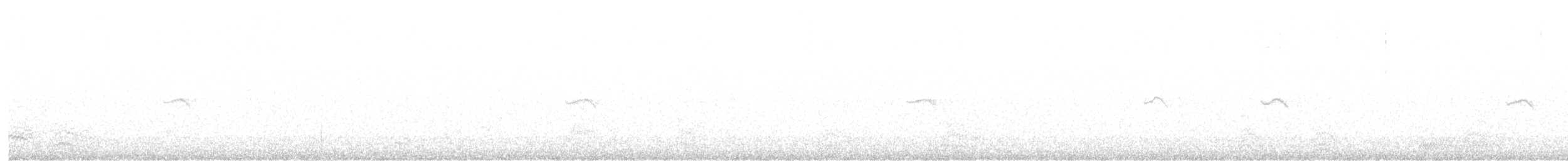budníček menší (ssp. tristis) - ML616204794