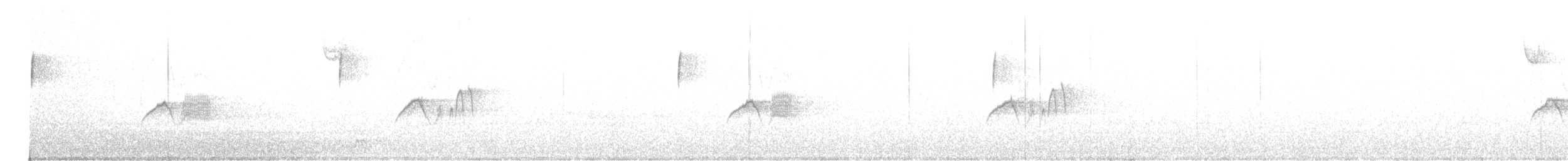 Светлобрюхий фиби - ML616205699