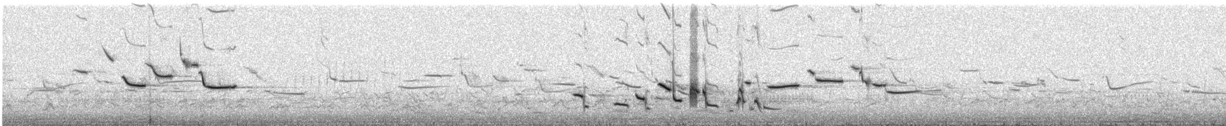 Western Meadowlark - ML616206797