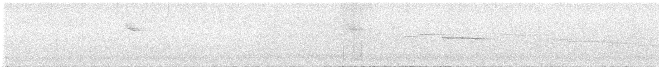 White-browed Warbler - ML616208890
