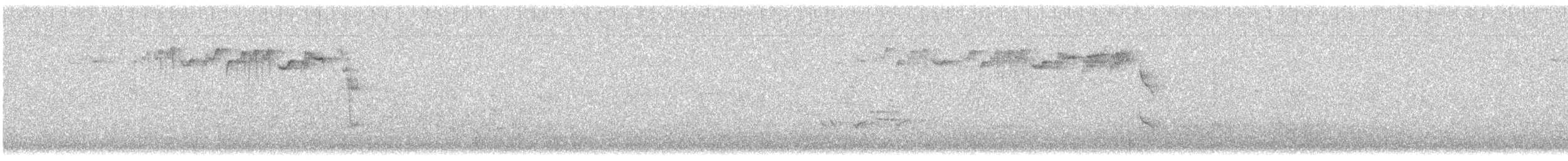 králíček obecný (ssp. teneriffae) - ML616210620