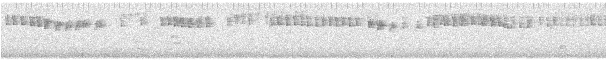 キクイタダキ（teneriffae） - ML616210621
