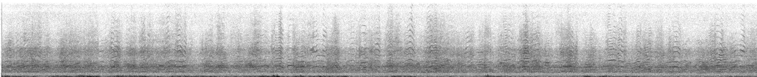 Schneegans - ML61621101