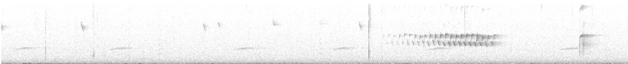 Pine Warbler - ML616211036