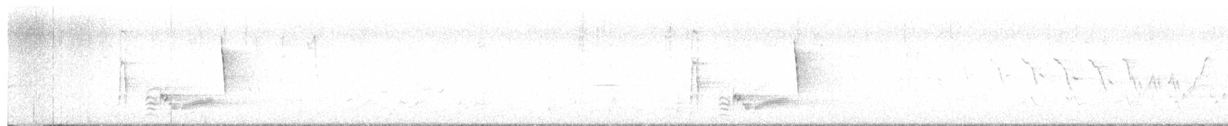 White-eyed Vireo - ML616211496