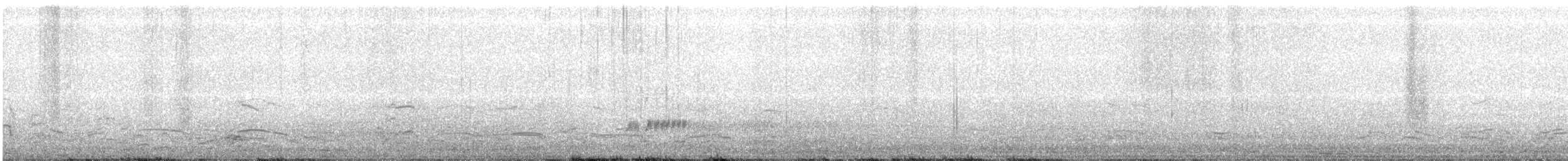 potápka bělolící - ML61621311