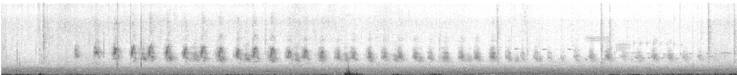 Virginia Rail - ML616213790