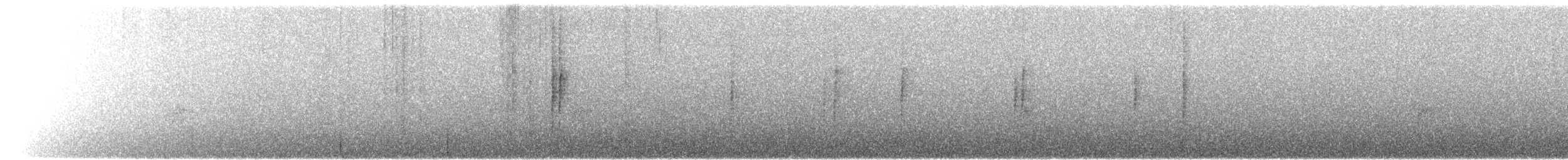 Трясохвіст темночеревий - ML616215015