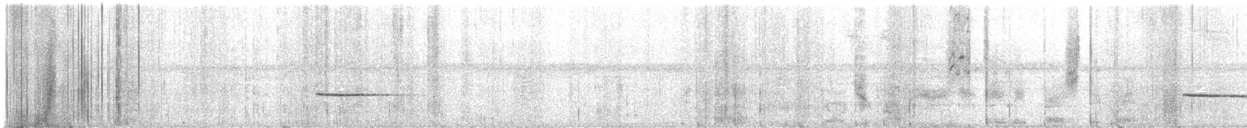 Troglodyte siffleur - ML616216724