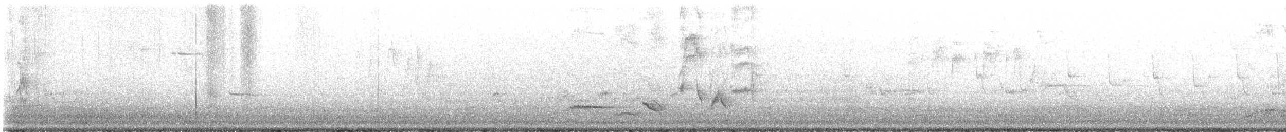 Eurasian Blackbird - ML616216991