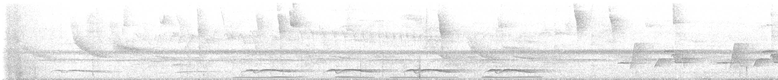 Серогрудый крапивник - ML616219363