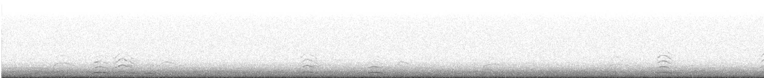 Cygne siffleur - ML616221013