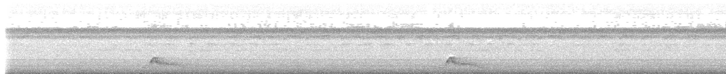 Pauraquenachtschwalbe - ML616221312