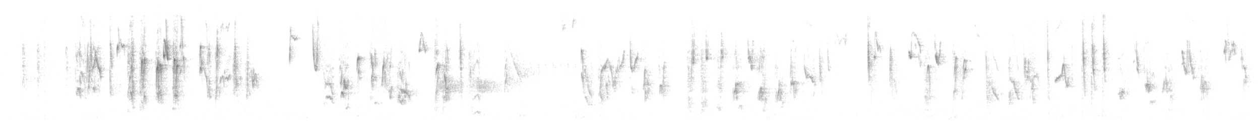 Юнко сірий (підвид caniceps) - ML616221512