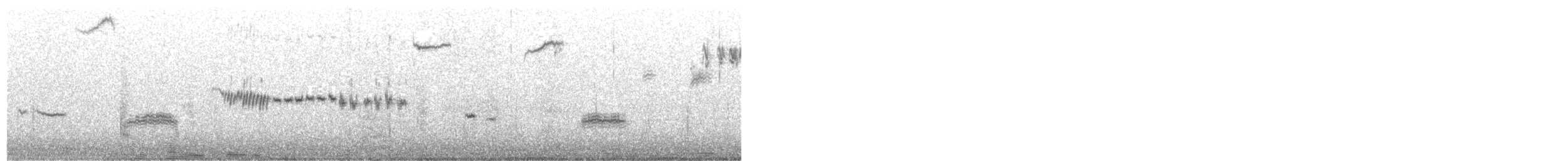 Cassin's Sparrow - ML616221560