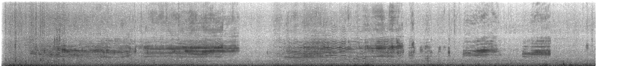 White-capped Albatross - ML616222088