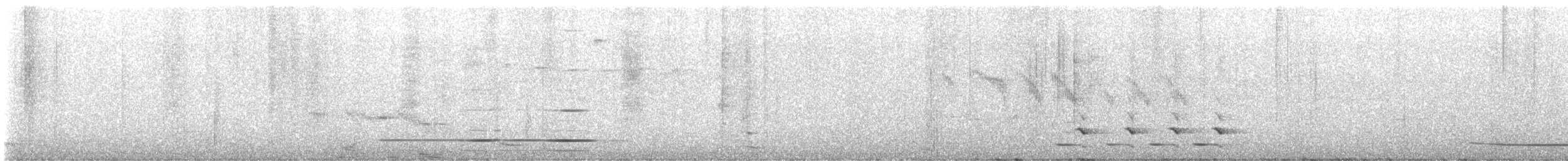 North Island Kokako - ML616222551