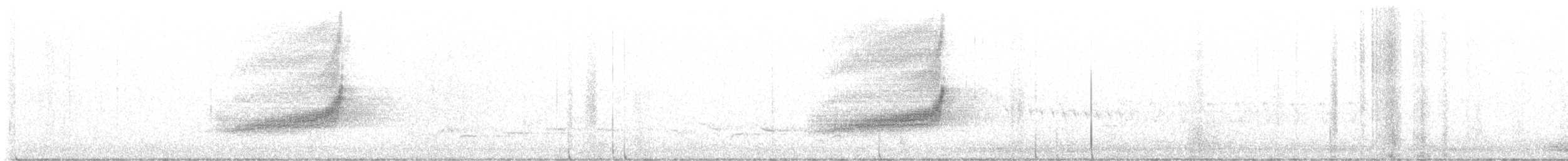 Long-tailed Koel - ML616222809