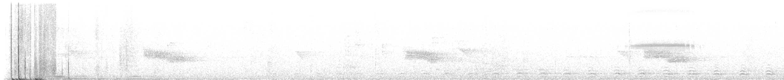 Slaty-tailed Trogon - ML616223199