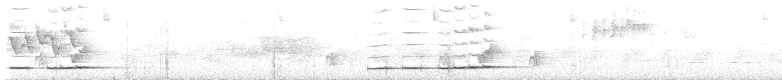 Таязура-клинохвіст велика - ML616223497