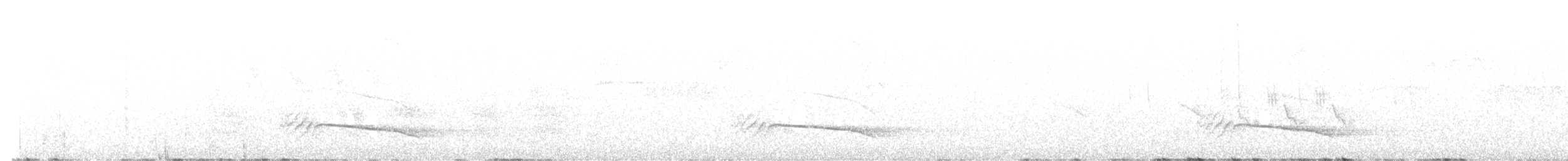 Каштановогрудый сорокопутовый виреон - ML616223734