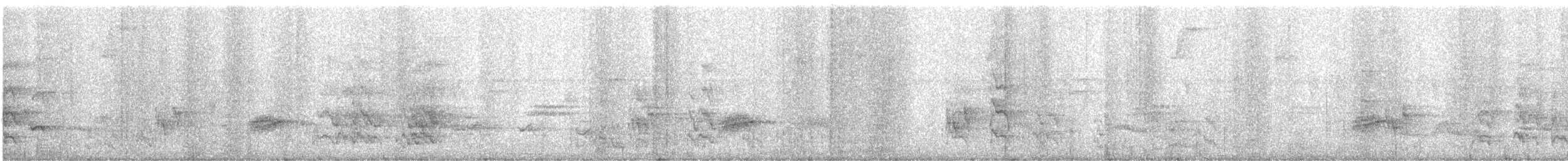regnbueparakitt (eisenmanni) (azueroparakitt) - ML616225427
