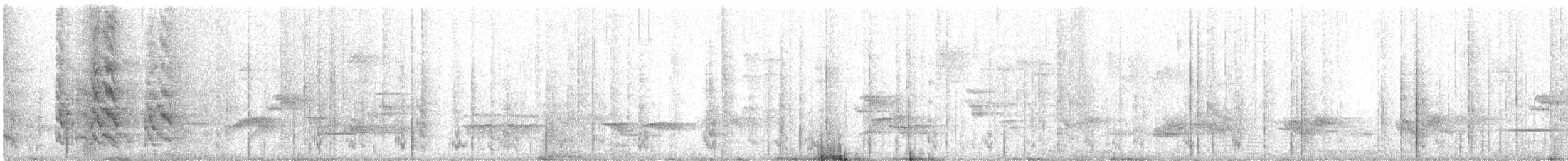 Cotorra Pintada (eisenmanni) - ML616225444