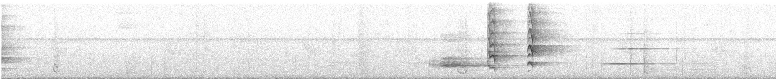 regnbueparakitt (eisenmanni) (azueroparakitt) - ML616226400