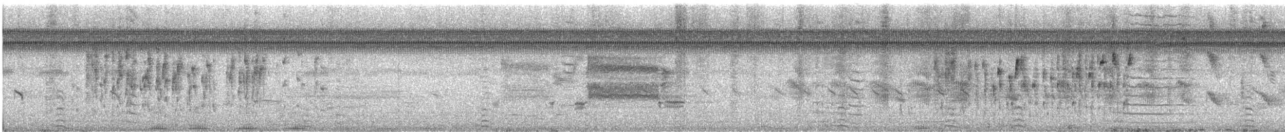 Marsh Wren - ML616228251