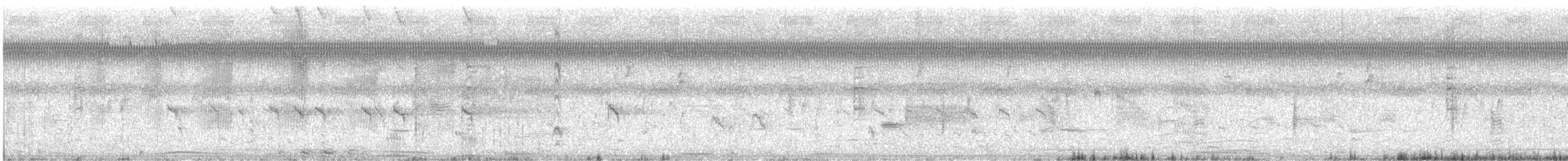 Least Bittern - ML616228403