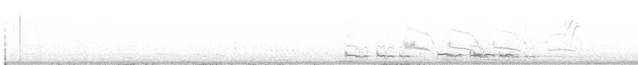 Chalk-browed Mockingbird - ML616231777