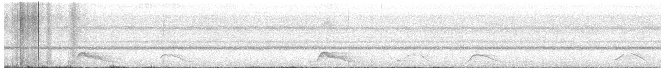 Pauraquenachtschwalbe - ML616239326