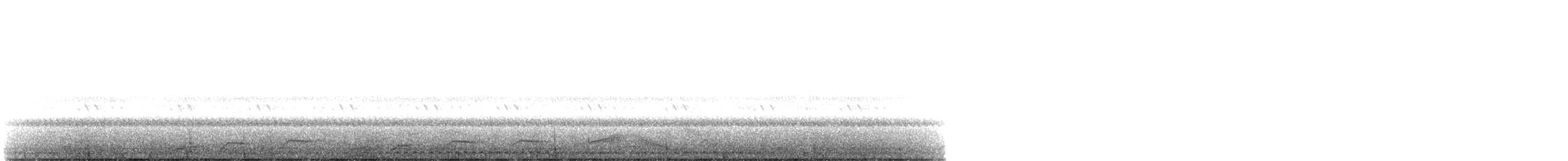 Pauraquenachtschwalbe - ML616239518